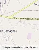 Strada Statale 524, 21,66030Mozzagrogna