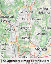 Automobili - Rimorchi,20814Monza e Brianza