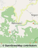 Autotrasporti,42030Reggio nell'Emilia