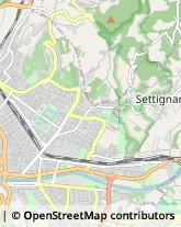 Via San Gervasio, 27/R,50131Firenze