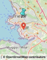 Elettricisti,34129Trieste