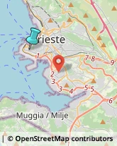 Elettricisti,34123Trieste