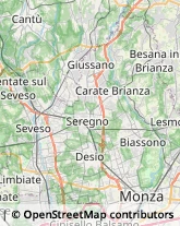 Trasporto Pubblico,20851Monza e Brianza