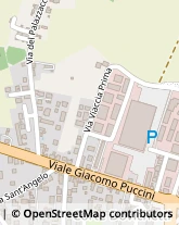 Via Viaccia, 140,55100Lucca