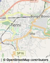 Viale Donato Bramante, 4,05100Terni