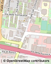 Viale San Concordio, 665,55100Lucca