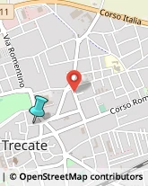 Palestre e Centri Fitness,28069Novara