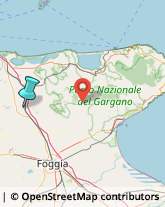 Uffici Temporanei,71016Foggia