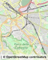 Pelli per Pellicceria,00179Roma