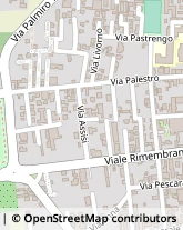 Via Palestro, 57/A,21052Busto Arsizio