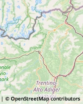 Viale Trieste, 72,39100Bolzano