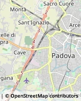 Via Fra' Paolo Sarpi, 132,35033Padova