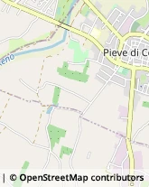 Via Rusticana, 34,40066Pieve di Cento