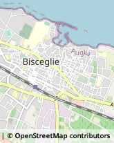 Via Giuseppe Mazzini, 21,76011Bisceglie