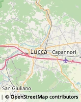 Via delle Suore, 11,55013Capannori