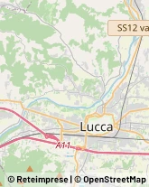 Rosticcerie e Salumerie,55100Lucca