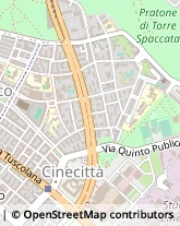 Via Quinto Publicio, 31,00175Roma