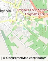 Via dei Tulipani, 17,71042Cerignola