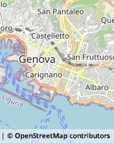 Giardinaggio - Servizio,16123Genova