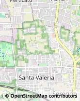 Vetrai,20831Monza e Brianza