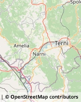 Ortofrutticoltura,05022Terni