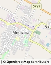 Via Cuscini, 24/28,40059Medicina