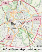 Via Ercolano Salvi, 18,00143Roma