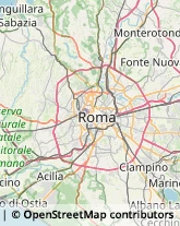 Viale Ratto delle Sabine, 23,00131Roma