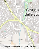 VIALE MAIFRENI, 45,46043Castiglione delle Stiviere