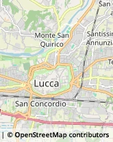 Vendite per Corrispondenza,55100Lucca