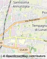 Tappezzieri,55100Lucca