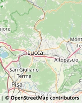 Via Firenze, 45 /47,55011Altopascio