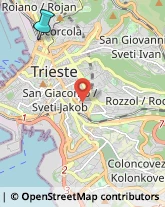 Giornalai,34135Trieste