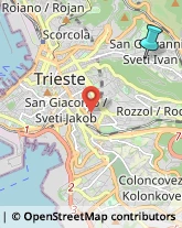 Giornalai,34128Trieste