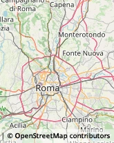 Via Bitonto, 55,00133Roma