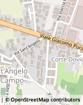 Viale Giacomo Puccini, 1809,55100Lucca