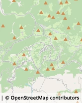 Agenzie di Animazione e Spettacolo,36063Vicenza