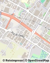 Via Mantova, 31,59100Prato