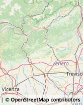 Articoli per Ortopedia,36028Vicenza