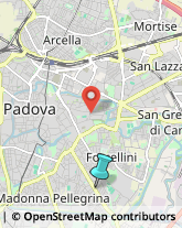 Articoli per Fumatori,35127Padova