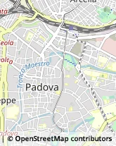 Via Caterino Davila, 23,35137Padova