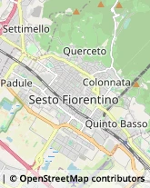 Via Ippolito Nievo, ,50019Sesto Fiorentino