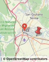 Via Salemi, 33,56121Pisa