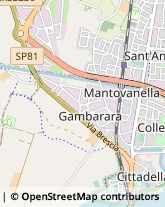 Via Correggio, 25,46010Mantova