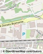 Viale Donato Bramante, 3/A,05100Terni