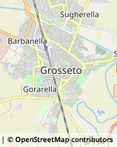 Via Adriatico, 11,58100Grosseto