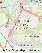 Via Alessandro della Seta, 19,00178Roma