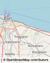 Via Andrea da Bari, 69,70121Bari