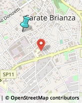 Pizzerie,20841Monza e Brianza