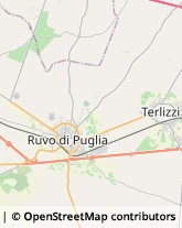 Via Antonio Vivaldi, 1/E,70037Ruvo di Puglia